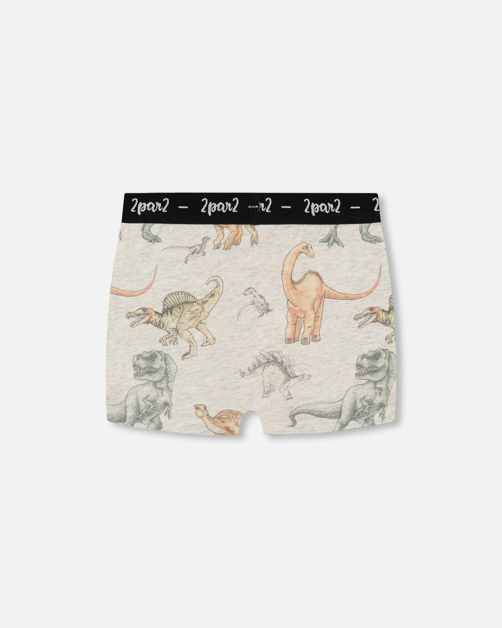 Printed Organic Cotton Boxer Shorts Dinosaur On Mottled And Tan Background