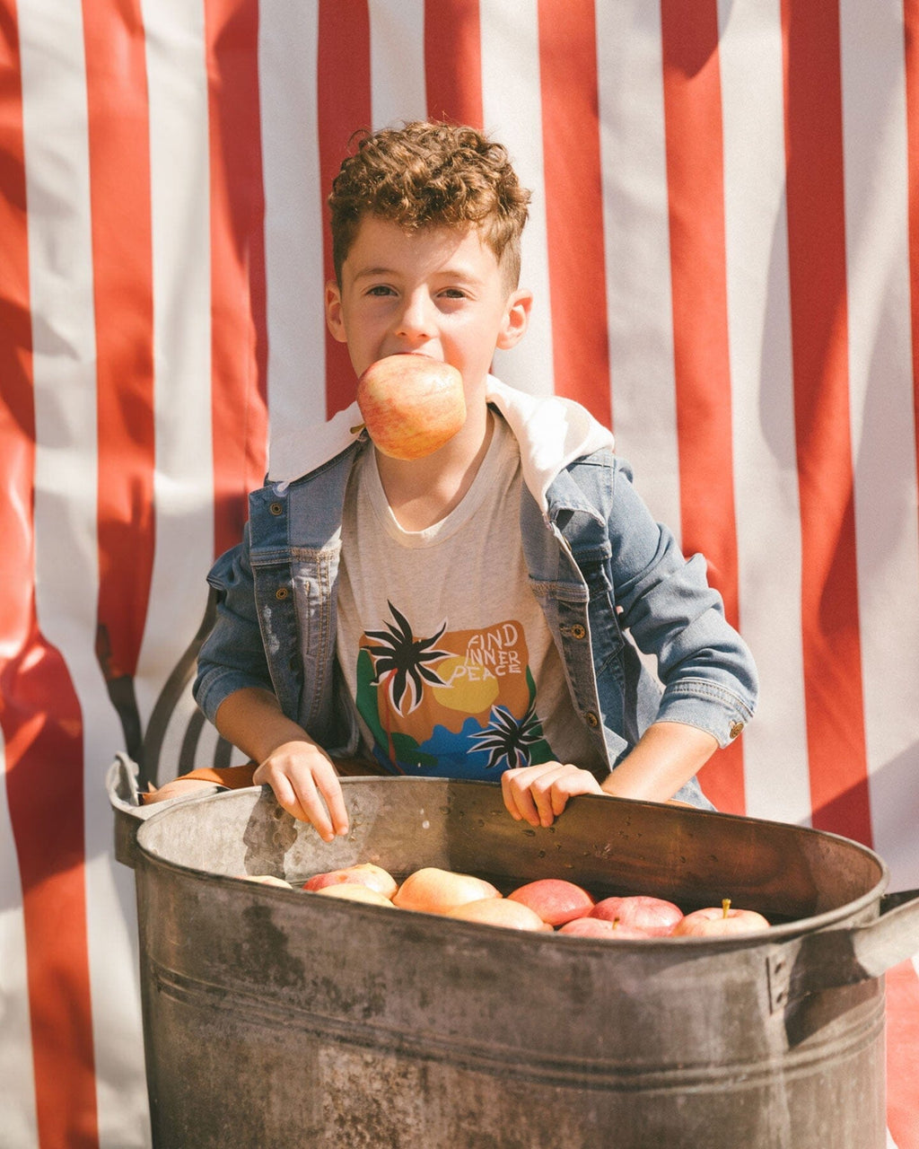 Organic Cotton Graphic Tee Light Gray Shimmer