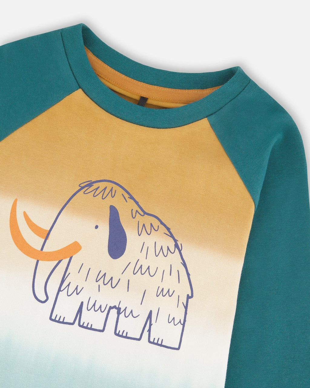 Organic Cotton Jersey Raglan Sleeve T-Shirt Forest Green