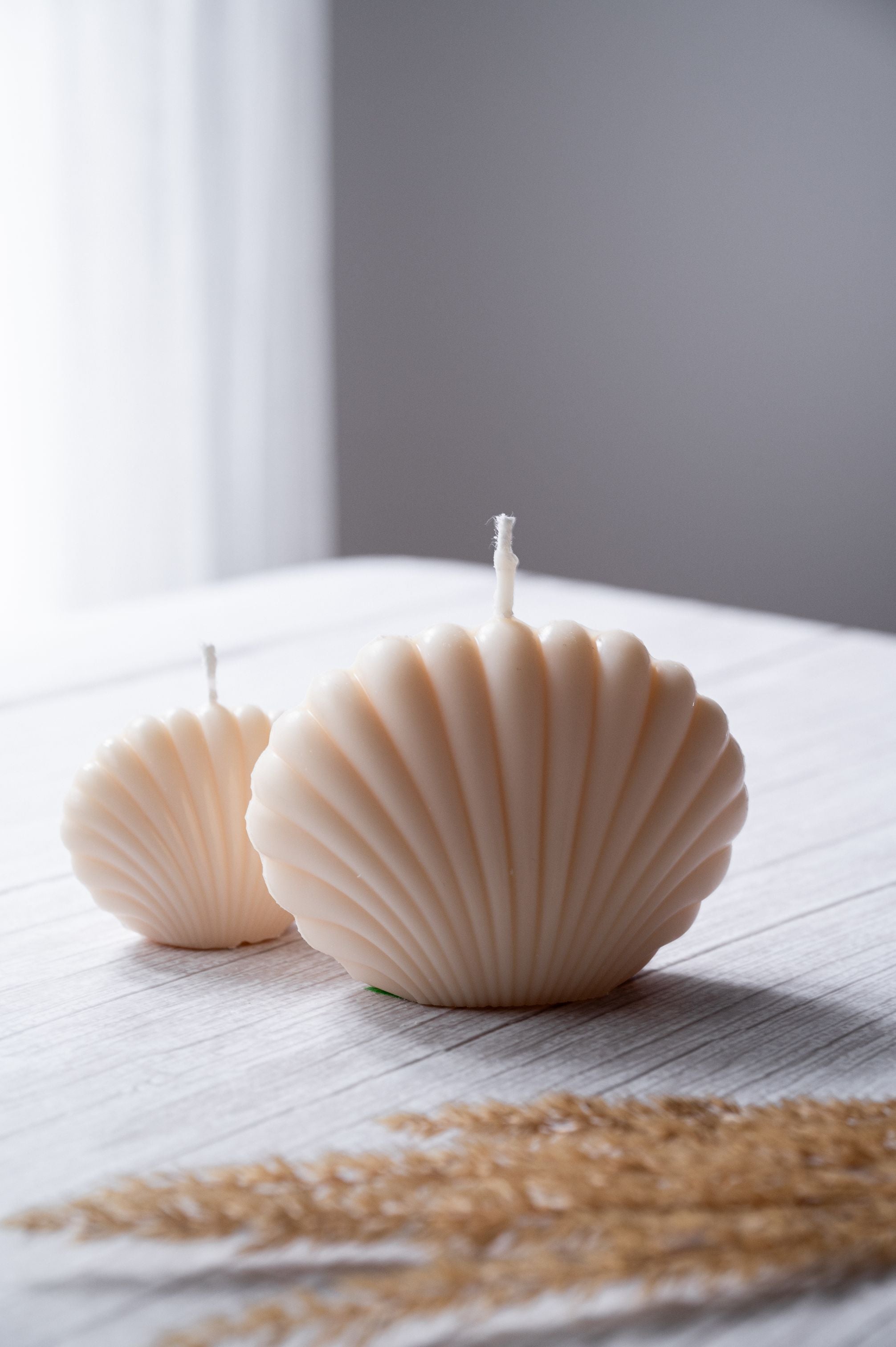Seashell Candle