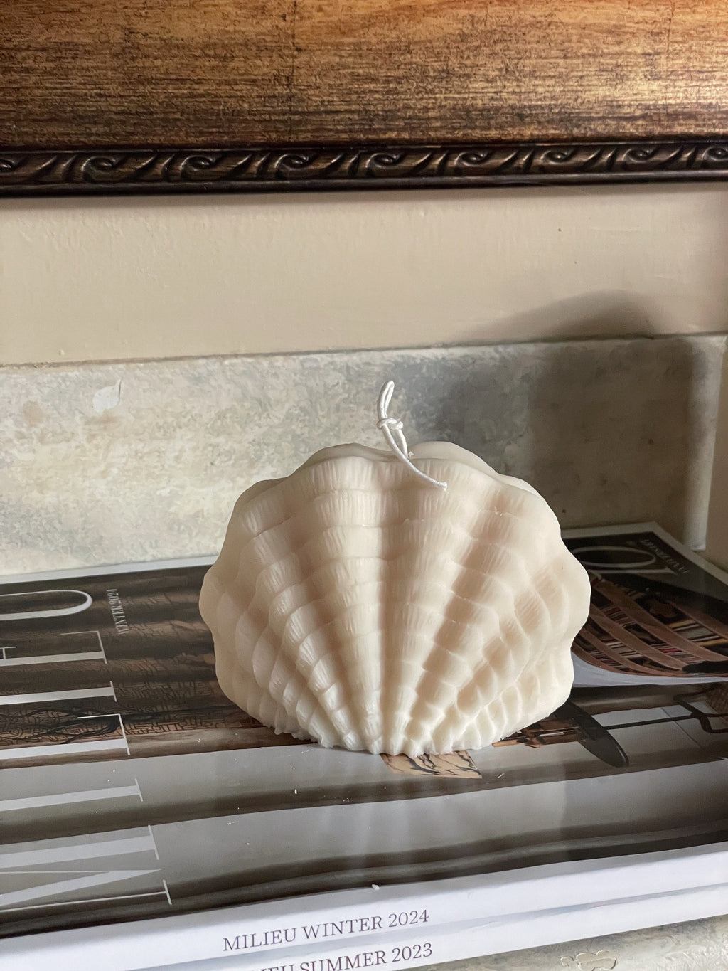 Ocean Shell