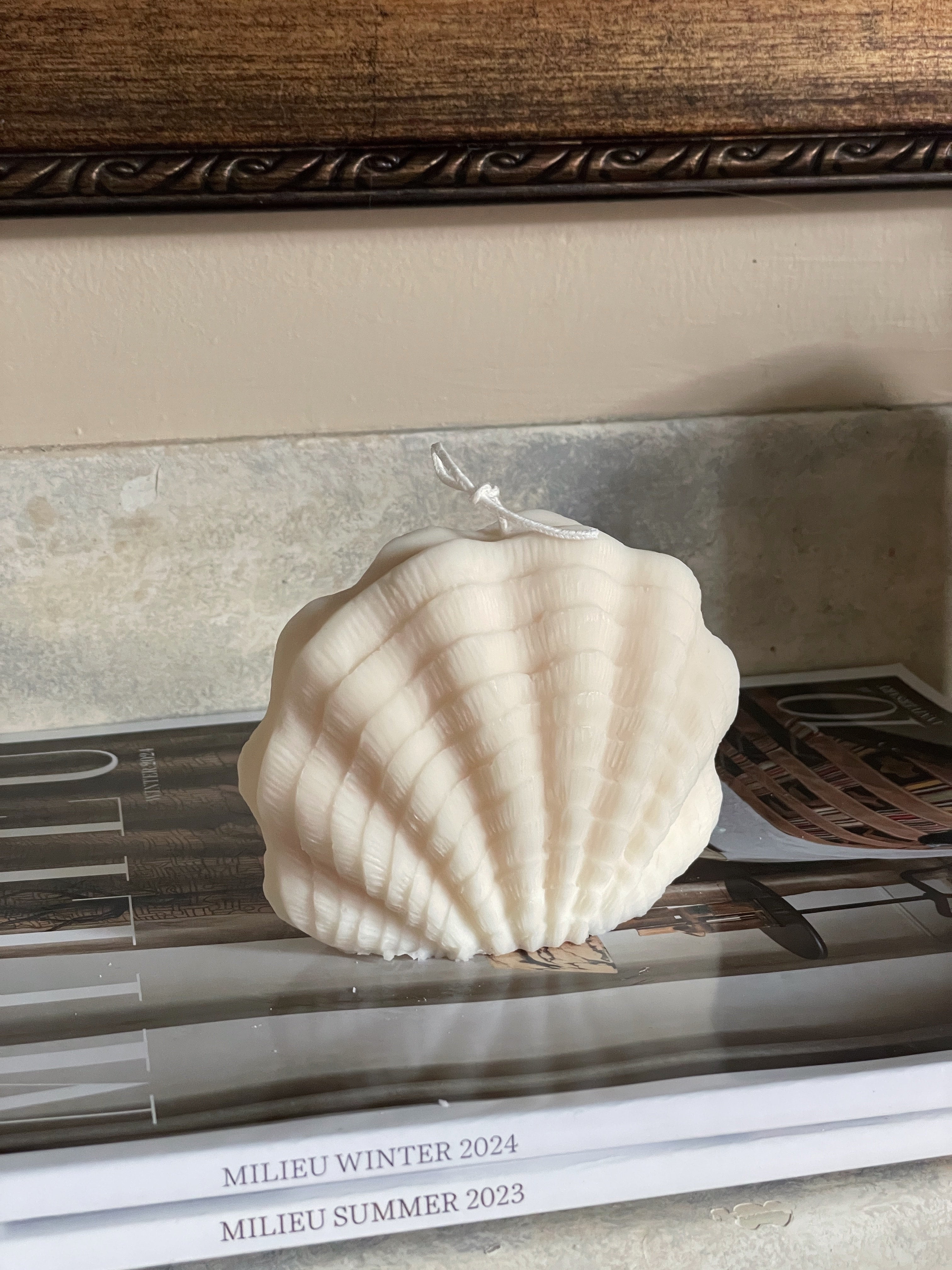Ocean Shell